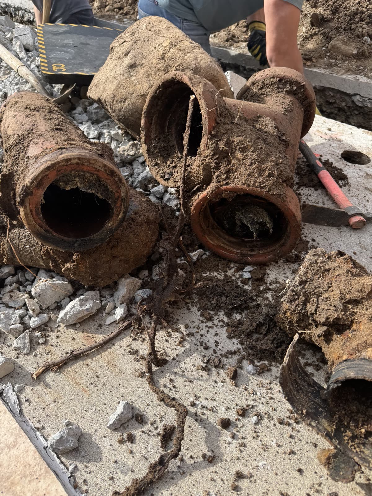 Old Clay Sewer Pipes / 老旧陶土下水道管